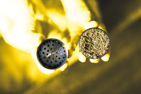 comment consommer fleur CBD pas chère