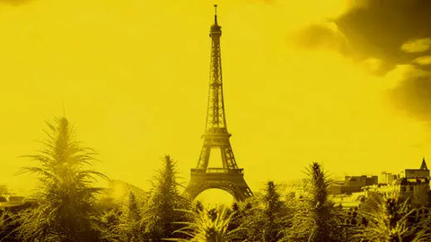 Pourquoi les français sont friands de CBD pas cher ?