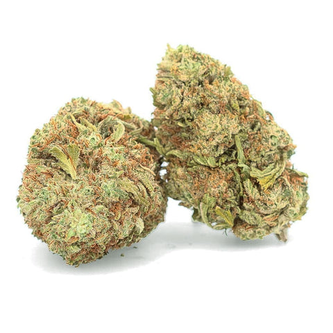 WHITE WHALE - Fleur CBD easyweedcbd