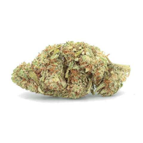 WHITE WHALE - Fleur CBD easyweedcbd