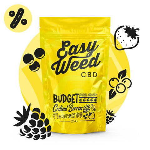 CRITICAL BERRIES - Fleur CBD easyweedcbd