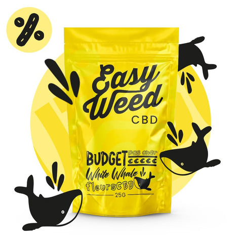 WHITE WHALE - Fleur CBD easyweedcbd