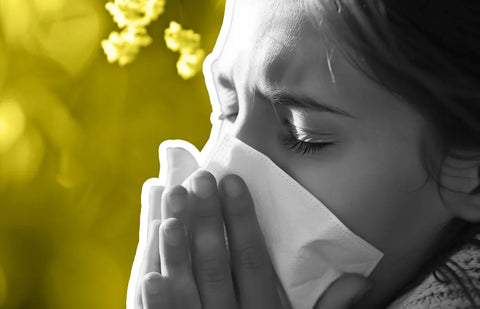 Le CBD et les Allergies : Mythe ou Ralit ? Dcryptage des Risques Potentiels Easyweed CBD Le CBD et les Allergies : Mythe ou Ralit ? Dcryptage des Risques Potentiels Easyweed CBD