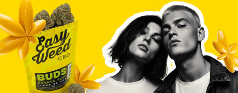 Des fleurs CBD d’exception, des prix qui détendent !