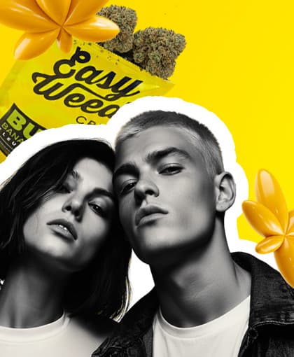 Des fleurs CBD d’exception, des prix qui détendent !