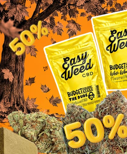 LA GAMME BUDGET D'OCTOBRE À -50% !