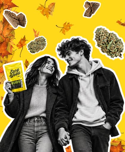TROUVE TA FLEUR 100% RÉCONFORTANTE POUR L'AUTOMNE !