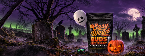 UNE FLEUR HANTÉE DÉBARQUE POUR HALLOWEEN… EN ÉDITION LIMITÉE !