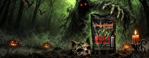 UNE FLEUR HANTÉE DÉBARQUE POUR HALLOWEEN… EN ÉDITION LIMITÉE !