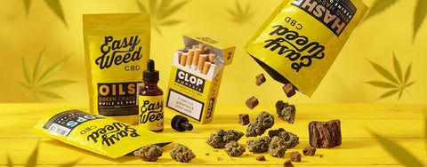 FOCUS BUDS: DÉCOUVREZ NOTRE COLLECTION DE FLEURS AUX PROFILS VARIÉS POUR LE PRINTEMPS 🌸