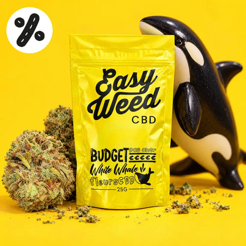 White Whale | Fleur CBD easyweedcbd