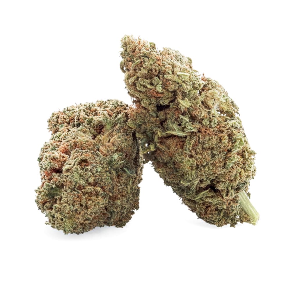 Labubu Kush | Fleur CBD
