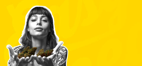 Envie de rouler avec autre chose que du tabac ? Découvrez notre sélection substituts et cigarette CBD