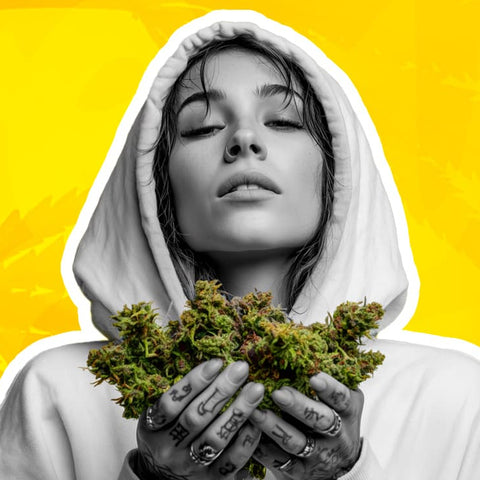 Envie de rouler avec autre chose que du tabac ? Découvrez notre sélection substituts et cigarette CBD