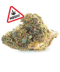 Sunset Punch | Fleur NBSH easyweedcbd
