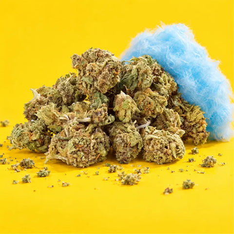 Blue Dream | Fleur CBD easyweedcbd