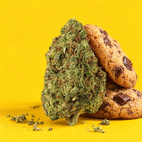 Cookie | Fleur CBD easyweedcbd