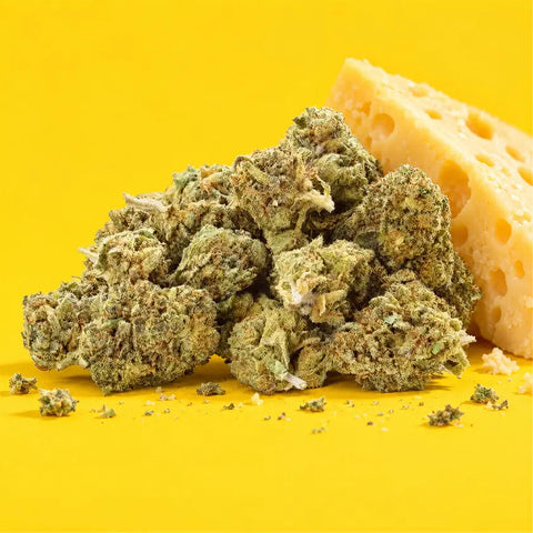 Critical Cheese | Fleur CBD easyweedcbd