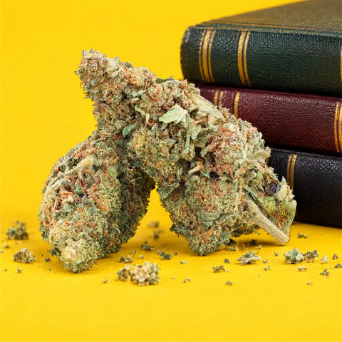 La 49.3 | Fleur de CBD Easyweed CBD