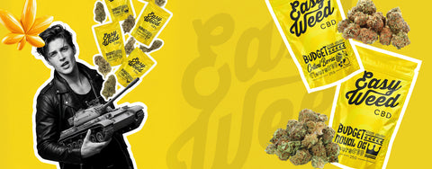 PROFITEZ DU RETOUR DE LA PROMO BUDGET ! REMISE DE -50% SUR LA COLLECTION