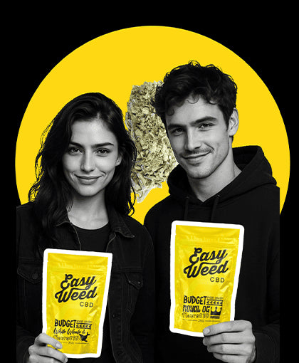 OPÉRATION BUDGET: PROFITEZ DES FLEURS DE LA GAMME BUDGET A MOINS -50% ✈️