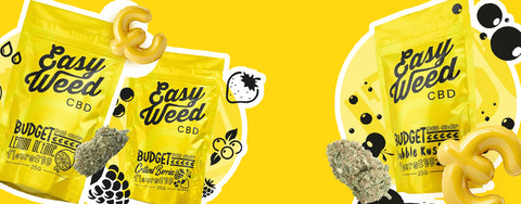 LES EASYWEED BUDGET SONT DE RETOUR : -50% SUR CES FLEURS ICONIQUES JUSQU'AU 8 FÉVRIER