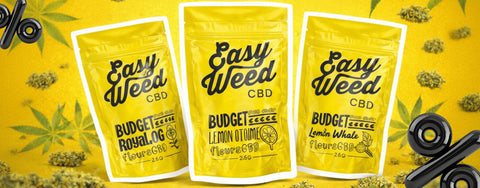 LA GAMME BUDGET EST DE RETOUR À -50% JUSQU’AU 8 MARS