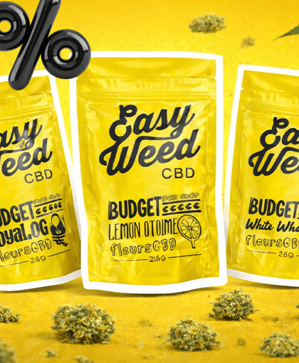 LA GAMME BUDGET EST DE RETOUR À -50% JUSQU’AU 8 MARS