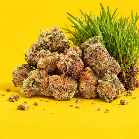Green Crack | Fleur CBD easyweedcbd