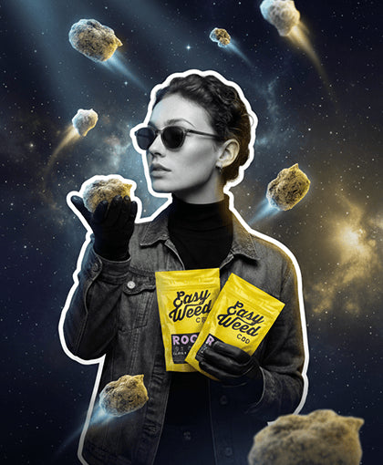 -20% : les Rocks CBD débarquent chez Easy Weed !