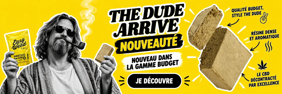 NOUVEAU : LA RÉSINE THE DUDE REJOINT LA GAMME BUDGET !