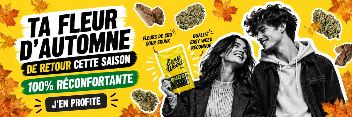 TROUVE TA FLEUR 100% RÉCONFORTANTE POUR L'AUTOMNE !