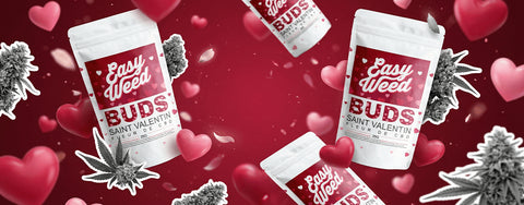 Le cadeau parfait à offrir pour la Saint-Valentin !