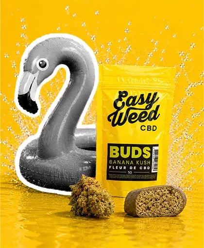 JUSQU'À -50% : L'ÉTÉ COMMENCE EN BEAUTÉ !