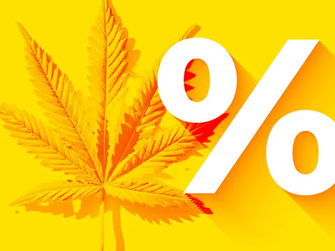 CBD-Sonderangebote: So erhalten Sie CBD zu reduzierten Preisen