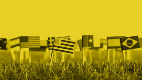 CBD aus Sicht internationaler Organisationen