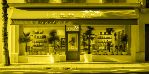 Warum Sie cbd.fr wählen sollten, um Ihr CBD günstig zu kaufen