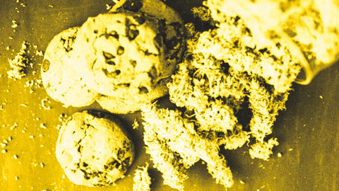 Space Cake mit CBD Deutschland