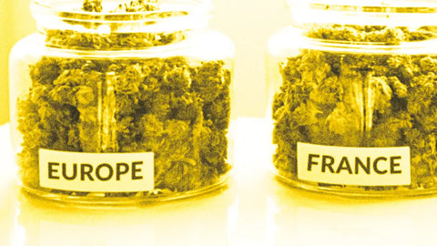 Wie wählt man CBD von guter Qualität aus?