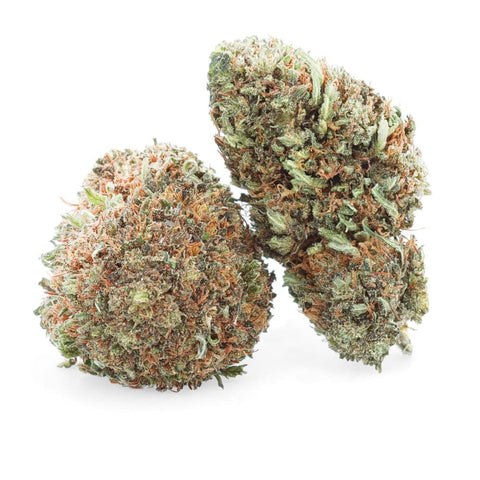 LEMON OCTANE – CBD-Blüte easyweedcbd