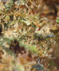 LEMON AMNESIA – CBD-Blüte easyweedcbd