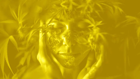 CBD and its miraculous therapeutic properties: myth or reality?