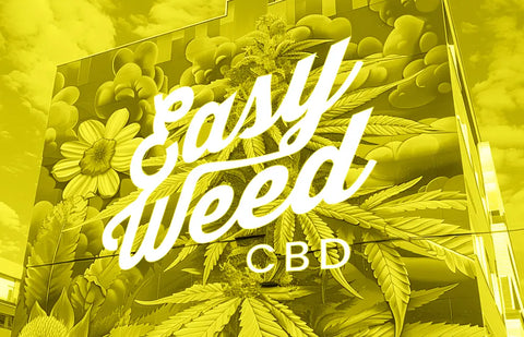 Easyweed CBD's undisputed reign over the CBD market