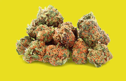 Introducing the Green Crack CBD strain