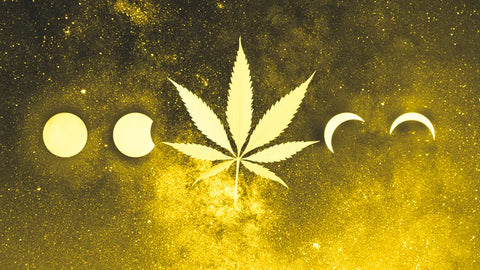 CBD and hemp for sleep and deep sleep