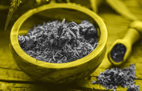 Let's find out everything there is to know about CBD trim