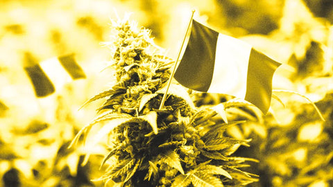 legalization of CBD in UK