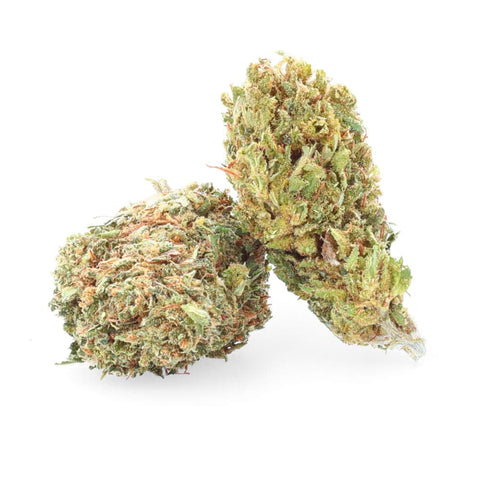 White Rhino - CBD Flower easyweedcbd