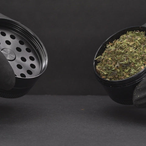 LIMONCELLO - CBD flower easyweedcbd