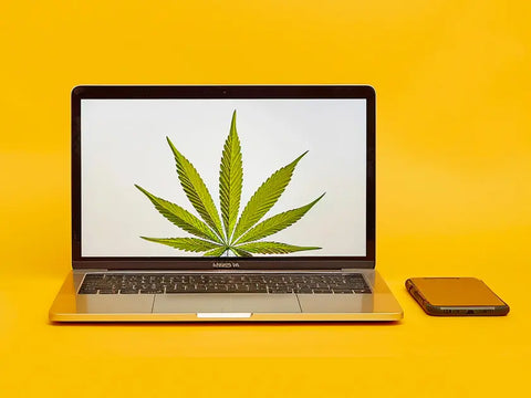 Comprar online una selección de productos derivados del cáñamo a precios atractivos.